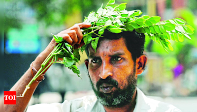 Record Power Demand in Tamil Nadu Amidst Searing September Heat | Chennai News - Times of India