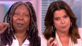 The View cohost Ana Navarro slams Florida education's slavery stance in censored, profanity-laced tirade