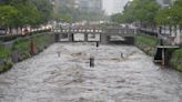 Minas norcoreanas podrían llegar al Sur por las inundaciones, advierte Seúl