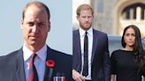Prince Harry Says Prince William Knocked Him to the Floor During Fight About Meghan Markle