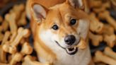 Shibarium sees brief outage amid Shiba Inu's Layer-3 blockchain ambitions