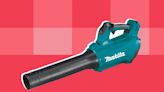 The 7 Best Cordless Leaf Blowers of 2023, According to Testing