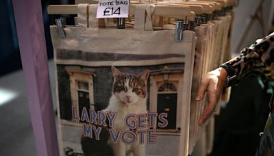 Britain's true ruler? Larry the Downing Street cat