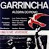 Garrincha, Alegria do Povo