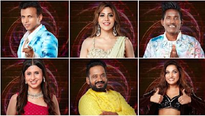 Bigg Boss Marathi 5 Top 6 Finalists Name Out: Finale Voting Begins; Here’s How To Vote On Jio Cinema - STEPS