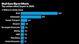 Carbon Credits Found to Be Mostly ‘Ineffective’ in Key Study