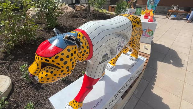 Colorful jaguar statues unveiled at Elmwood Park Zoo to be installed throughout Montgomery County