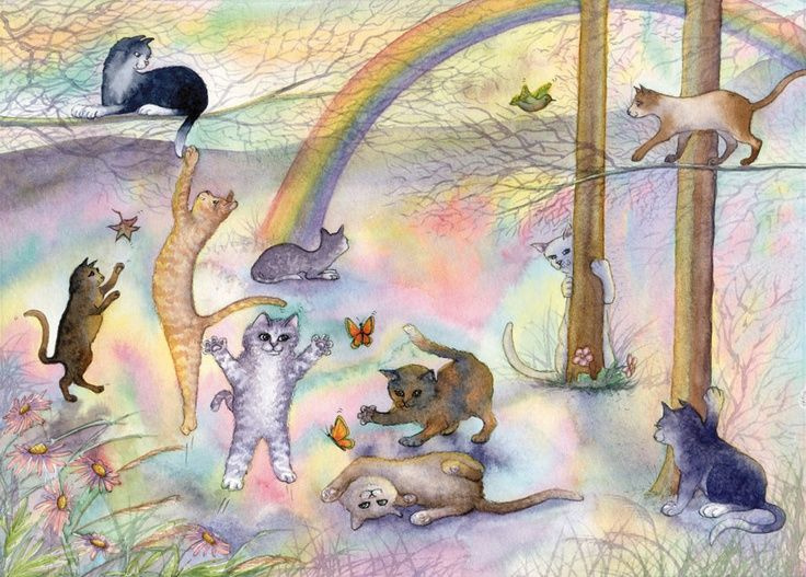kittens in Meadow by Rainbow Bridge.