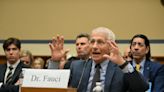 Fauci dismisses ‘preposterous’ allegations that he led covid coverup
