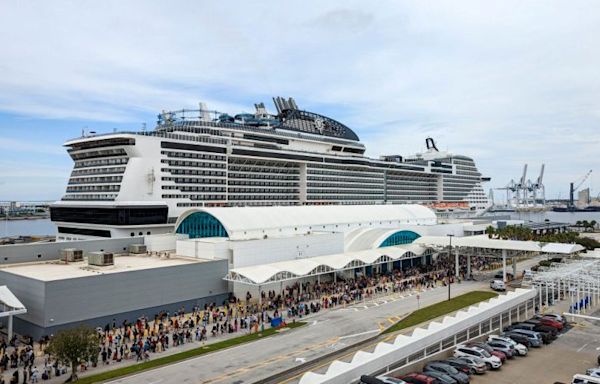 MSC cruise ship sails into NYC with 44-foot dead endangered whale across its bow