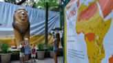 Colossal Creatures: New Jacksonville Zoo exhibit pairs giant inflatable animals with activities for kids
