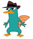 Perry the Platypus