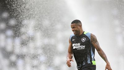 Botafogo deve ter retorno de Júnior Santos na partida contra o Grêmio | Botafogo | O Dia