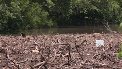 ODOT working on plan to remove log jam at Twin Bridges area