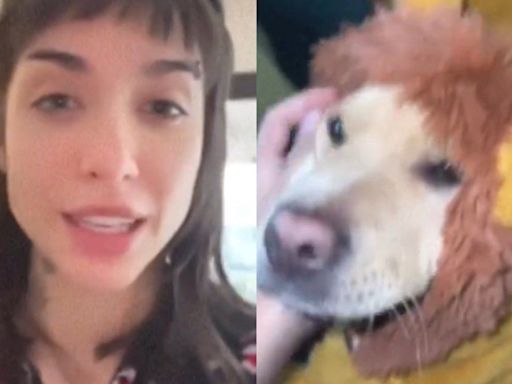 María Becerra mostró el look de sus perros y llenó de ternura las redes