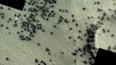 Satellite Photo Shows an Army of 'Black Spiders' on Mars