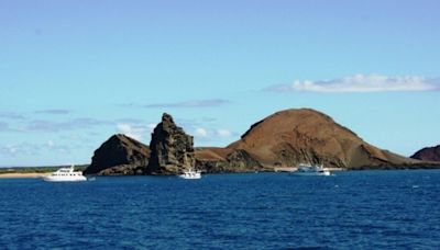 Galápagos: Dos detenidos por presunta pesca ilegal de pepinos de mar y tiburones