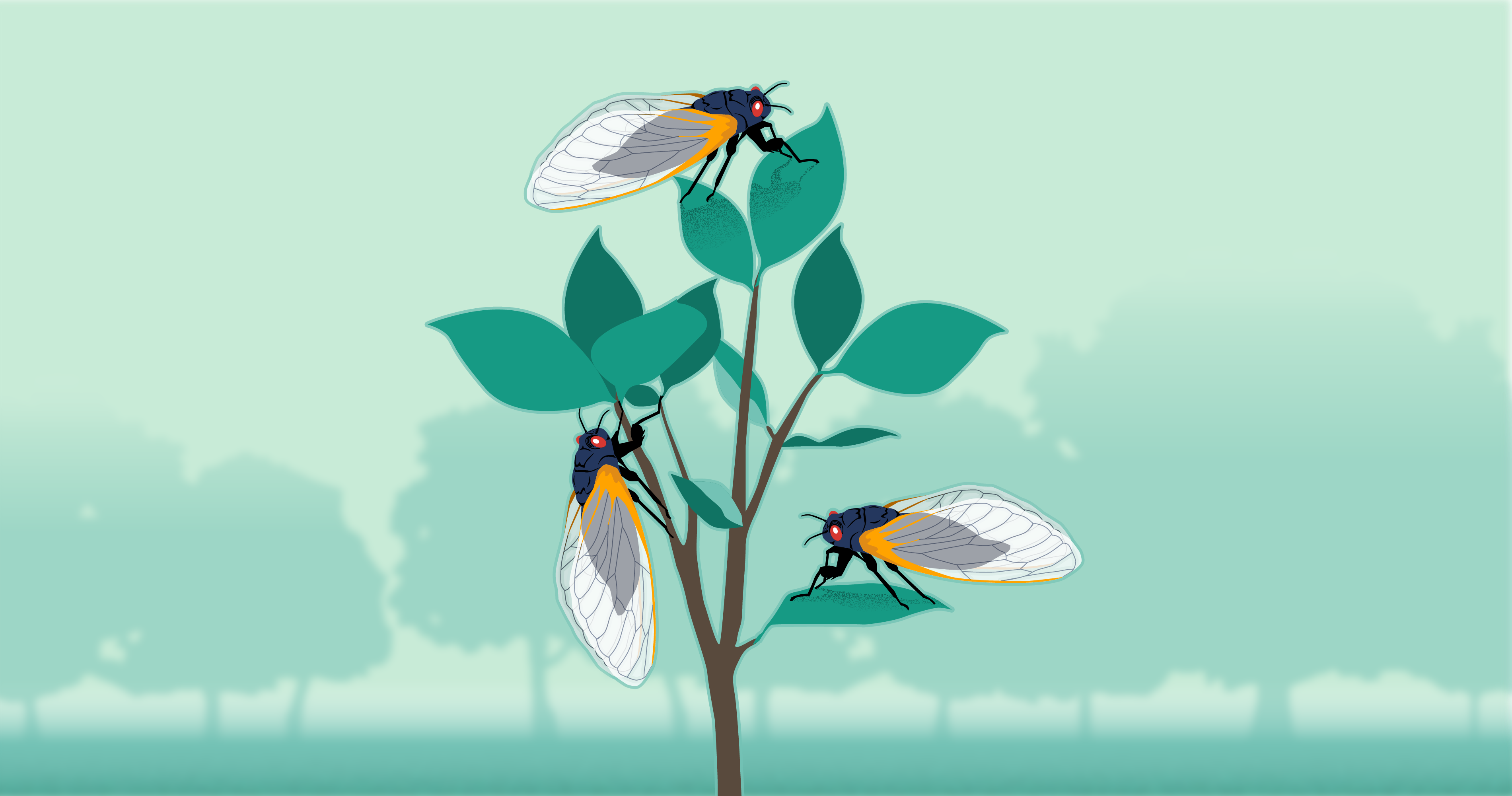 The 2024 cicada invasion: How to save your trees and shrubs from damage