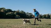 Los 7 consejos fundamentales si vas a empezar a hacer running con tu perro