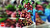 UP to become a major player in the lychee market | Lucknow News - Times of India