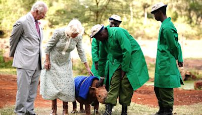 King and Queen’s trip to Kenya tops list of most expensive royal trips