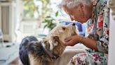 El beneficio de tener mascotas para los adultos mayores