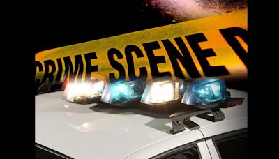 NOPD investigates homicide on Stemway Drive