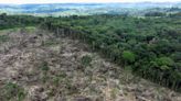 Marina Silva diz que Amazônia precisa de "Plano Marshall" para evitar destruição sem volta