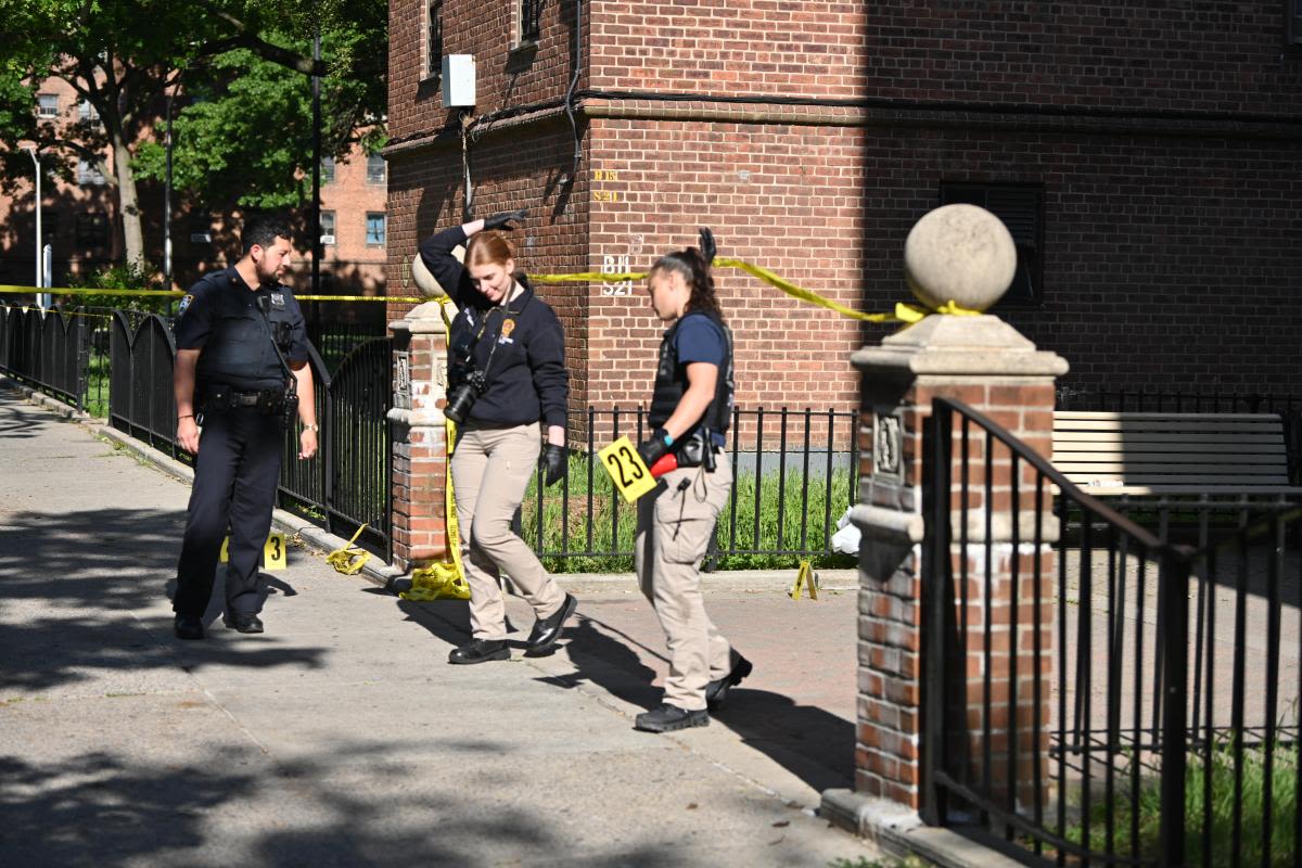 Brooklyn man fatally shot in back at public housing complex: NYPD | amNewYork