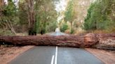 Apple launches Roadside Assistance via satellite