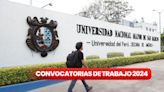 ¡Trabaja en la UNMSM! Ofrecen empleos con sueldos de hasta S/5.614 para estudiantes, técnicos, bachilleres y más