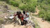 As number of devotees to temple festivals in MTR spikes, conservationists warn of hazards to wildlife, habitat