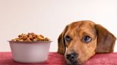 Petfood giant Inspired takes a Butchers at latest acquisition