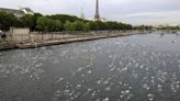 Paris mayor is confident that water quality will allow Olympic swimming in the River Seine