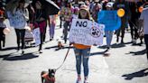 Activistas con sus mascotas piden sanciones más duras por maltrato animal en Bolivia