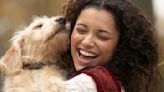 Pets give companionship, cuddles and joy – and also unavoidable stresses