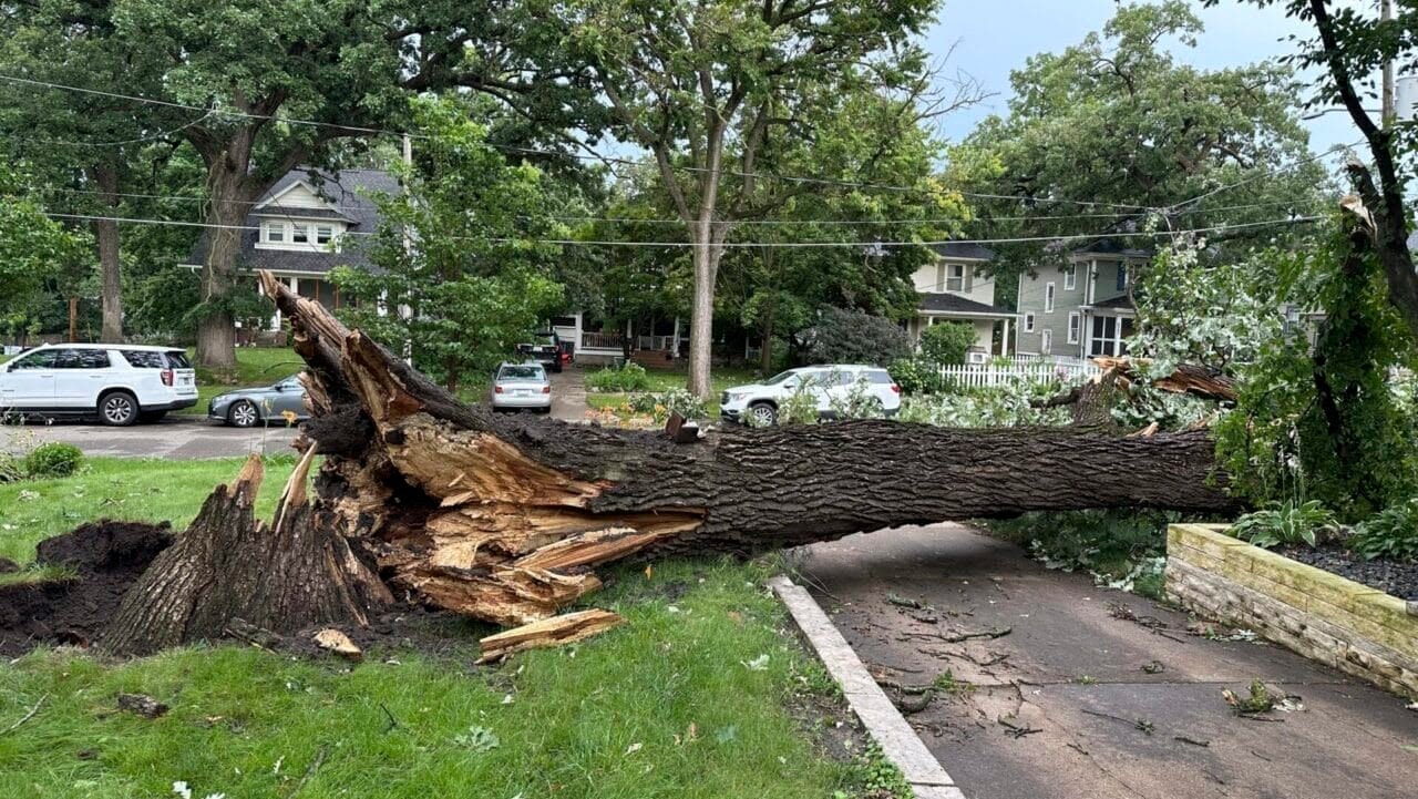 4 tornadoes hit Indiana around midnight; woman dies after tree falls on home