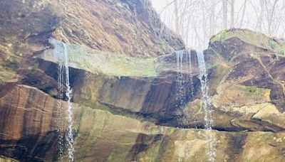 A Hiker's Path: Waterfalls, an arch and woods at Yellow Birch Ravine Nature Preserve