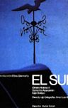 El Sur (film)