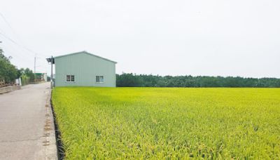 農地違法使用重罰 農民恐慌反彈