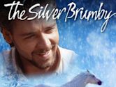 The Silver Brumby (film)