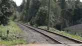 Pedestrian struck, killed by train in Surrey, RCMP say