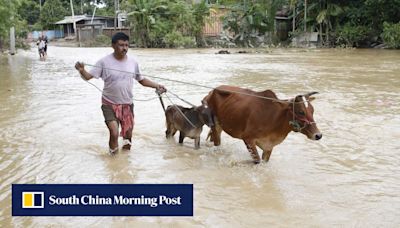 Why a surge in cow vigilantism under Modi 3.0 has India’s Muslims on edge