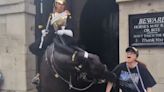 Quiso sacarse una foto con un Guardia Real, la mordió el caballo y su reacción asustó a todos