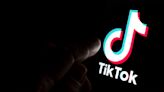 TikTok asks creators for help as bill to ban it moves through Congress