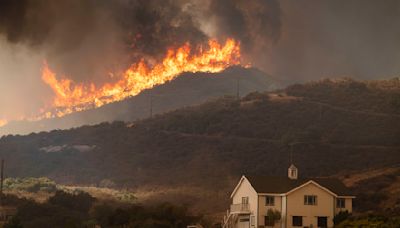 "Climate whiplash" fuels California's raging wildfires