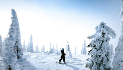 Winter Wonderland: Top Places to Go for a Snowy Vacation