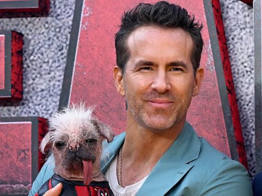 Dogpool gets its day at London premiere of “Deadpool & Wolverine”: 'She's a 10 in our hearts'