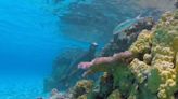 NOAA proposes massive Hawaii marine sanctuary filled with reefs, atolls, endangered aquatic life