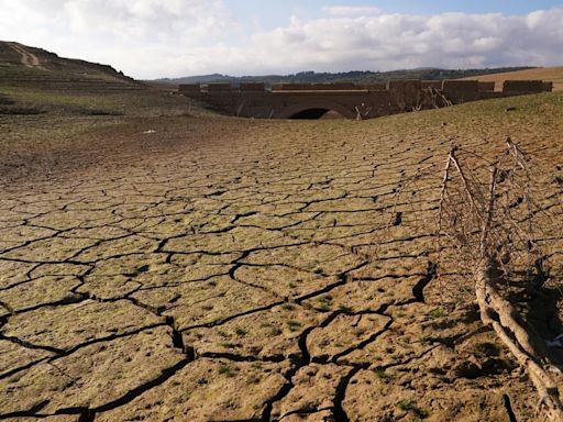 Europa sufre los efectos del cambio climático: “Ya está causando estragos en la vida y la salud de las personas”